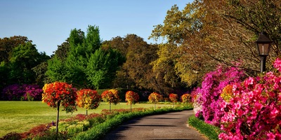 Como diseñar un jardín en función de su tamaño