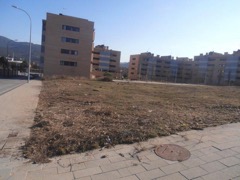 Manteniment de jardins a Barcelona, Pinopodado